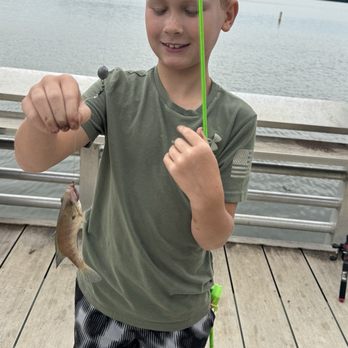 Fishing At Lake Blalock - Another small fry. - Fishing Near Me