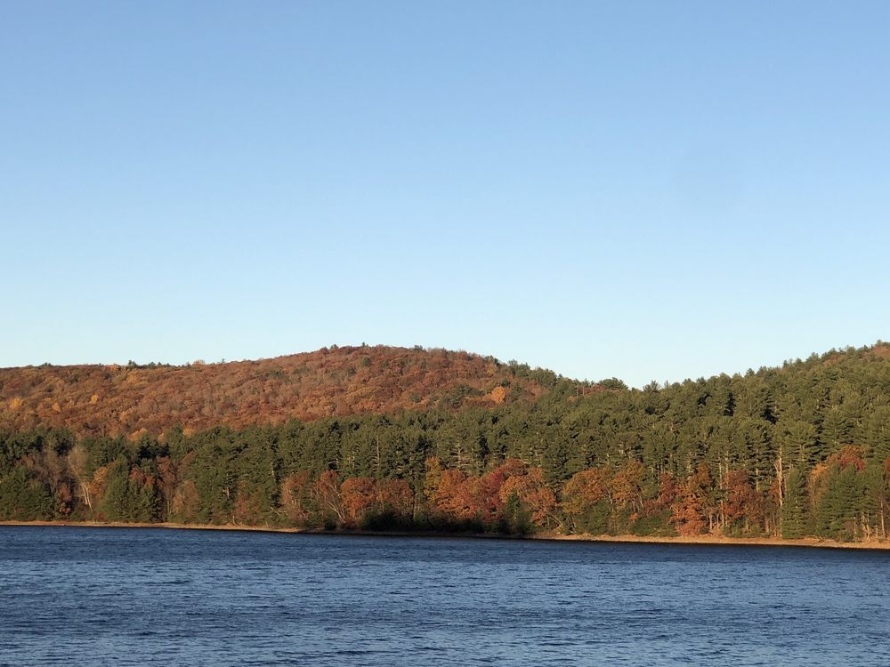 Lake McDonough Recreational Area
