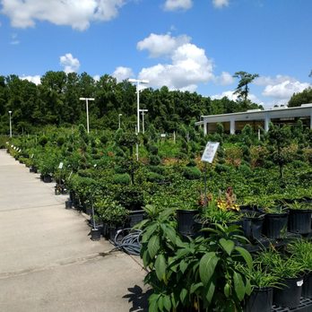Houston Garden Centers - Home & Garden Near Me - Humble, Texas