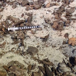 Social Security - Used syringes around the #SFFEderalBuilding and Social Security Office. Dangerous and Shameful at the corner of 7th and Mission.