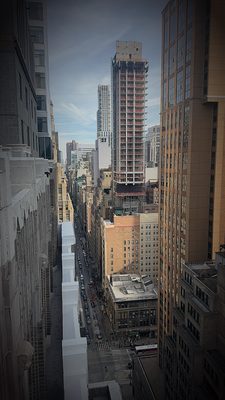 Elsie Rooftop by null