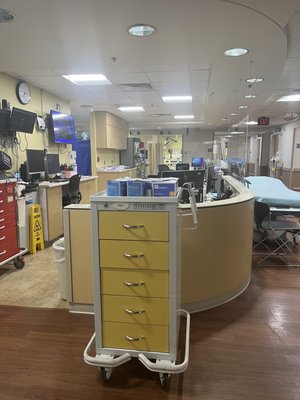 Holy Cross Hospital by null