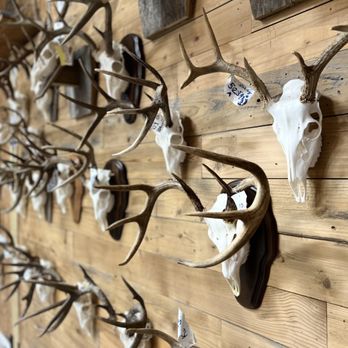 Brazos Bend Taxidermy - Taxidermy Near Me - Richmond, Texas Brazos Bend Taxidermy - Taxidermy Near Me - Richmond, Texas