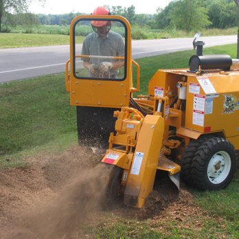 Xpert Tree Services Corp - Tree Services Near Me Xpert Tree Services Corp - Tree Services Near Me