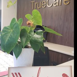 True Care Physical Therapy - We welcome all walk-ins when it comes to TrueCare Medical Associates & True Care Physical Therapy