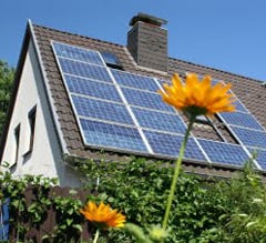 Slide of Guardian Chimney Sweep