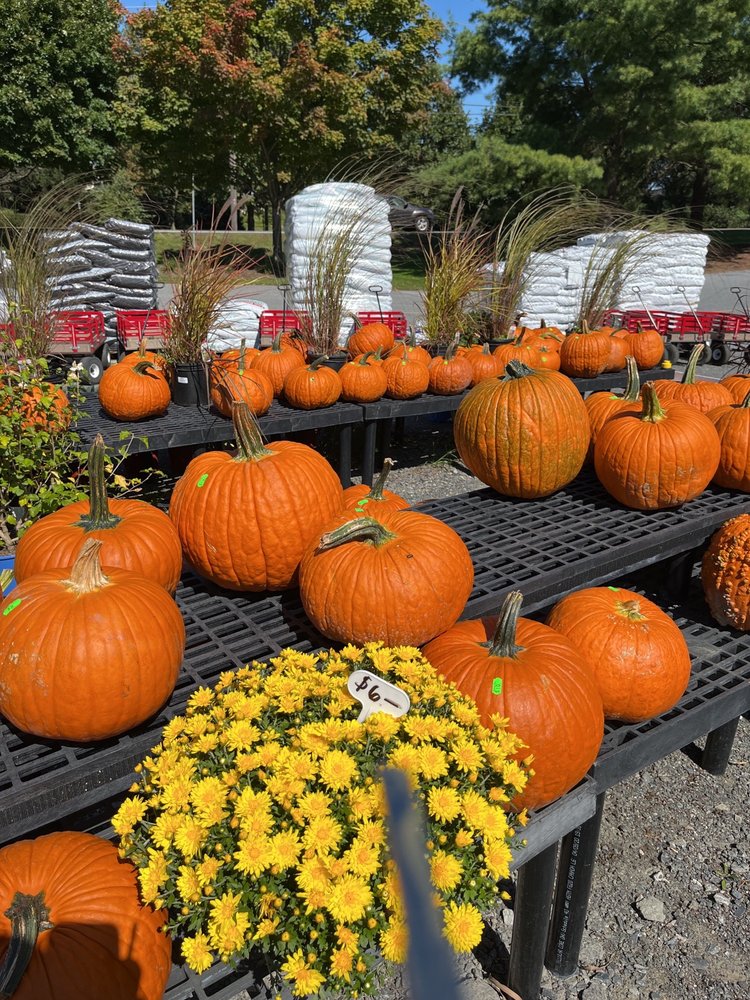 CHERRY HILL ORCHARDS OUTLET Updated July 2024 37 Photos & 32