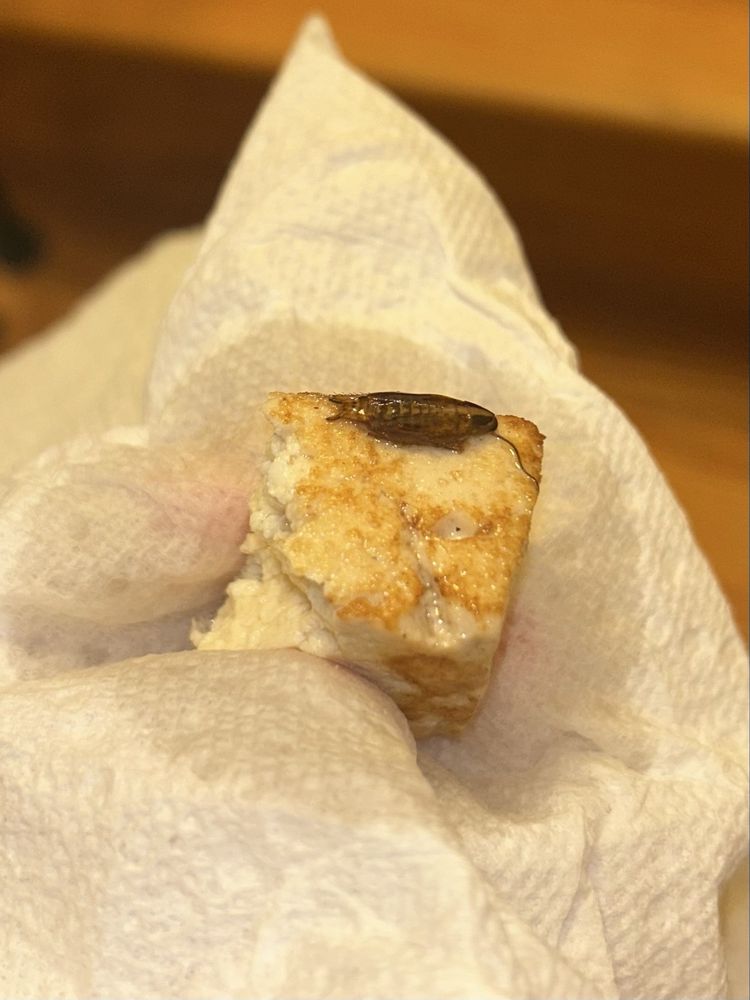 Yum Yum Noodle Bar - Kingston