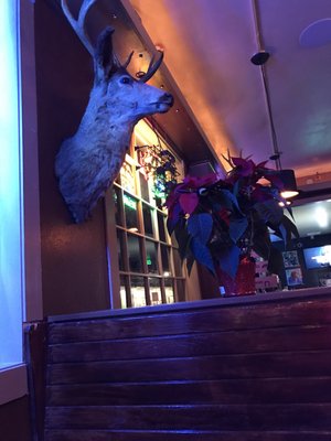 Double J Saloon by null
