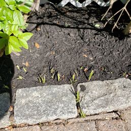 a pile of mulch next to a bench a pile of mulch next to a bench