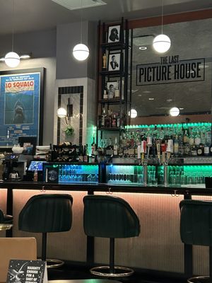 The Last Picture House by null