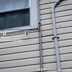 Supreme Pest Control - customer mentioned seeing c-ants in the upstairs portion of the house. Did interior & Exterior assessment and found them trailing on wire