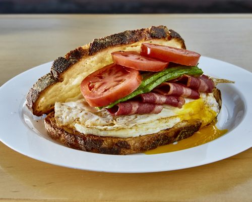 Montagu's Gusto by null