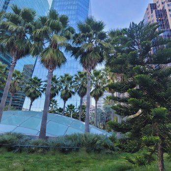 Salesforce Park - Salesforce Park in the rooftop - Parks Near Me - San Francisco, California
