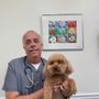 Photo of All Friends Animal Clinic