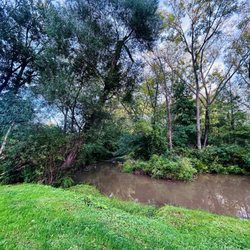 Race Horse Tavern - Little Conewago Creek behind the bar