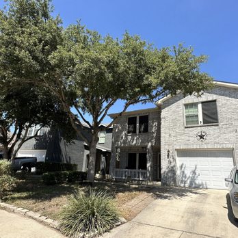 Mission City Arbor Group - Front yard after. - Tree Services Near Me - San Antonio, Texas Mission City Arbor Group - Front yard after. - Tree Services Near Me - San Antonio, Texas