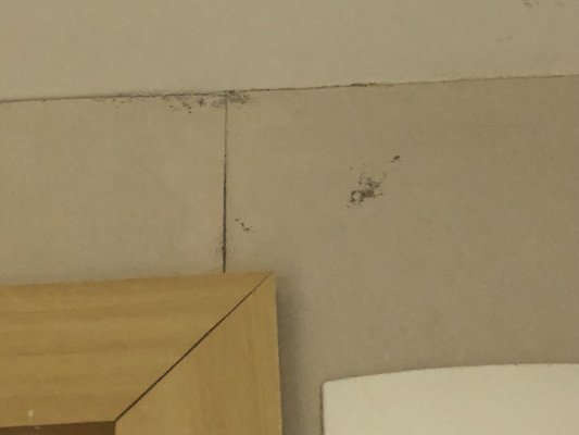 Meliá Paulista by null