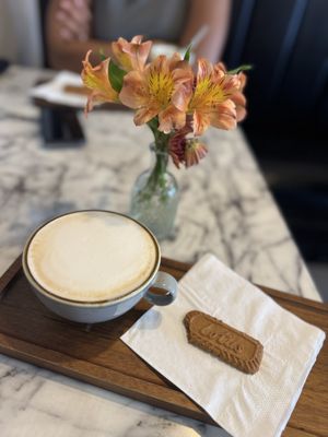 The Perfect Press Coffee Co.,LLC by null