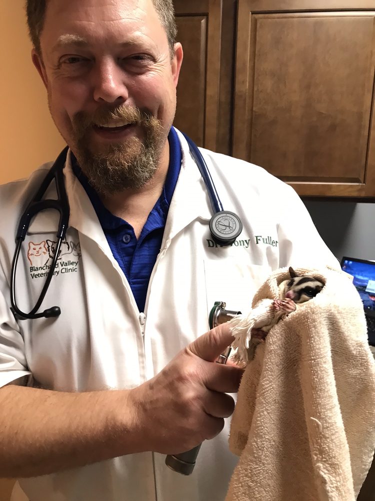 BLANCHARD VALLEY VETERINARY CLINIC Updated September 2024 1611 N