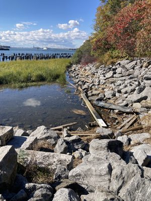 Brooklyn Bridge Park Pier 5 by null