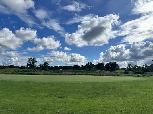 Tiburón Golf Club by null