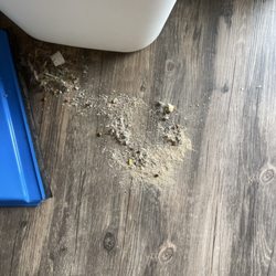 Van Buren Campground - dirty floor the cleaning lady/man did NOT clean.