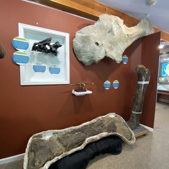 Dinosaur Ridge - Museums Near Me - Morrison, Colorado