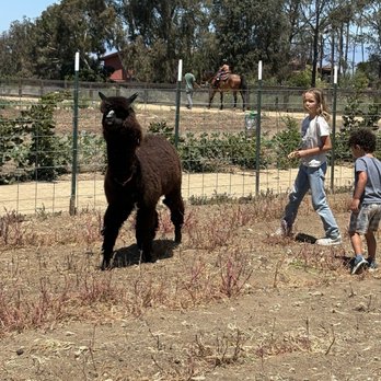 Fox Point Farms - Al-Pachino being chased by some kids here for camp. - Venues & Event Spaces Near Me - Encinitas, California