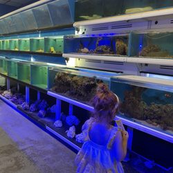 Corals and Fins - Clownfish, starfish, eel, my child...etc