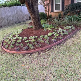 MDJA Tree Service and Landscaping - Garden - Tree Services Near Me - Katy, Texas MDJA Tree Service and Landscaping - Garden - Tree Services Near Me - Katy, Texas
