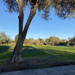 The large grassy area.