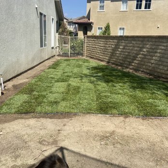 Ceron Landscaping - New sod with black border. They installed sprinklers & did a great job. - Tree Services Near Me