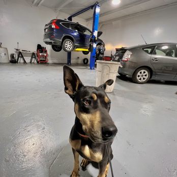 Jonny Prius & EV Repair - Me and my dog felt very welcomed here :) - Auto Repair Near Me - Atascadero, California Jonny Prius & EV Repair - Me and my dog felt very welcomed here :) - Auto Repair Near Me - Atascadero, California