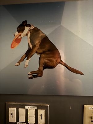 boon eat + drink by null boon eat + drink by null