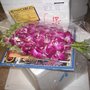 Photo of Thai-Shop