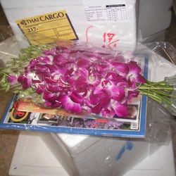 Thai-Shop