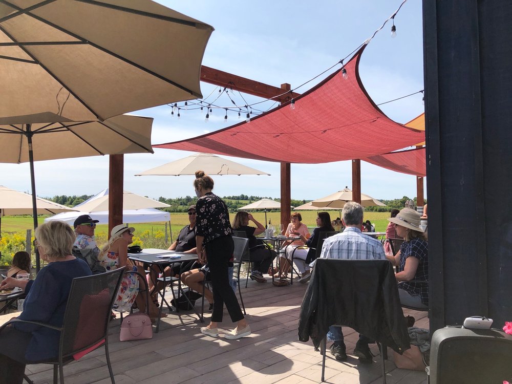 ROLLING GRAPE Updated August 2024 11 Photos 260 County Road 2, Bailieboro, Ontario