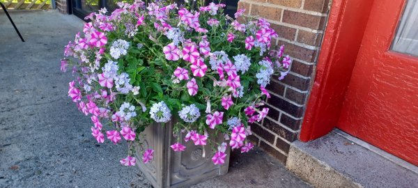 Severina Restaurant and Bar by null