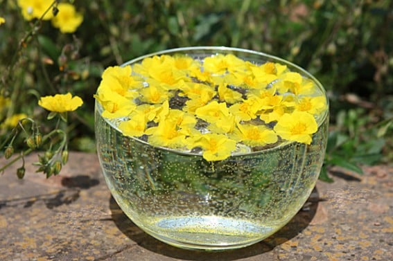 White Lotus Relationship Coaching - grief counselor in Agoura Hills, CA