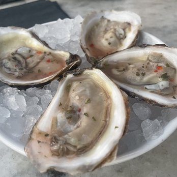 Paradiso - Oysters - Bars Near Me - Dallas, Texas Paradiso - Oysters - Bars Near Me - Dallas, Texas