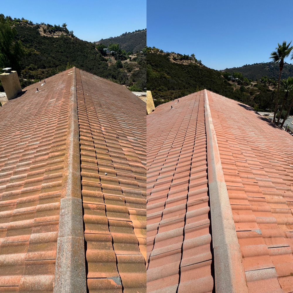 Slide of Curbside Softwash