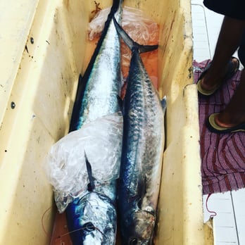 Captain Rick's - In the cooler - Fishing Near Me - Playa del Carmen, ROO