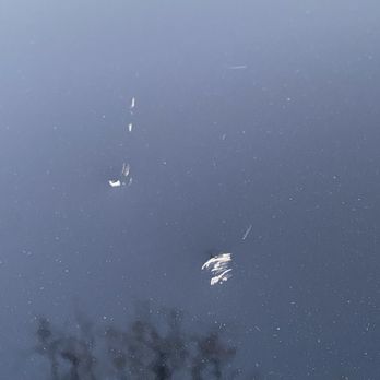 Pro Finish Auto - Hood dent (close view). - Body Shops Near Me - Stamford, Connecticut