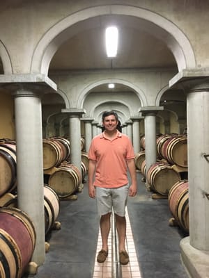 Domaine de Beaurenard - Paul Coulon & Fils by null