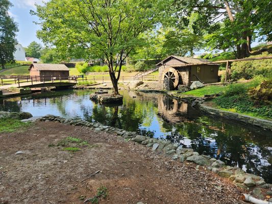 Stanley Park by null