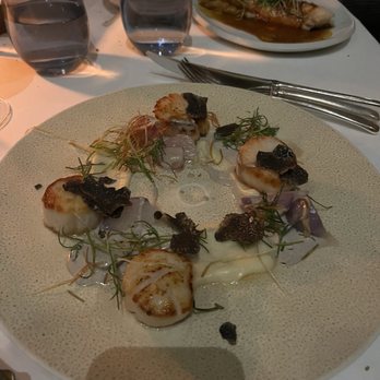 Spago - Sauteed Maine Diver Scallops* - New American Near Me - Beverly Hills, California