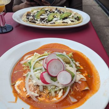 El Poblano - Enchilada rancheras dish. - Mexican Near Me - White Plains, New York El Poblano - Enchilada rancheras dish. - Mexican Near Me - White Plains, New York