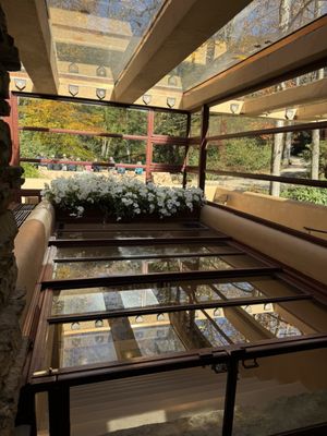 Fallingwater by null