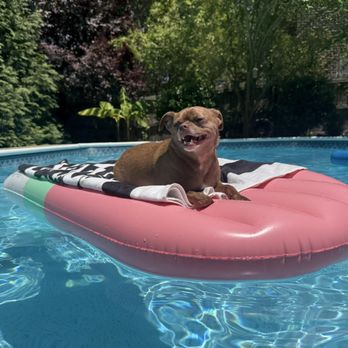 Your Pool Doctors - Benicio on his popsicle float. - Pool Cleaners Near Me - Virginia Beach, Virginia